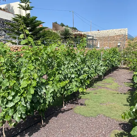 Casas Palma * San Miguel de Abona